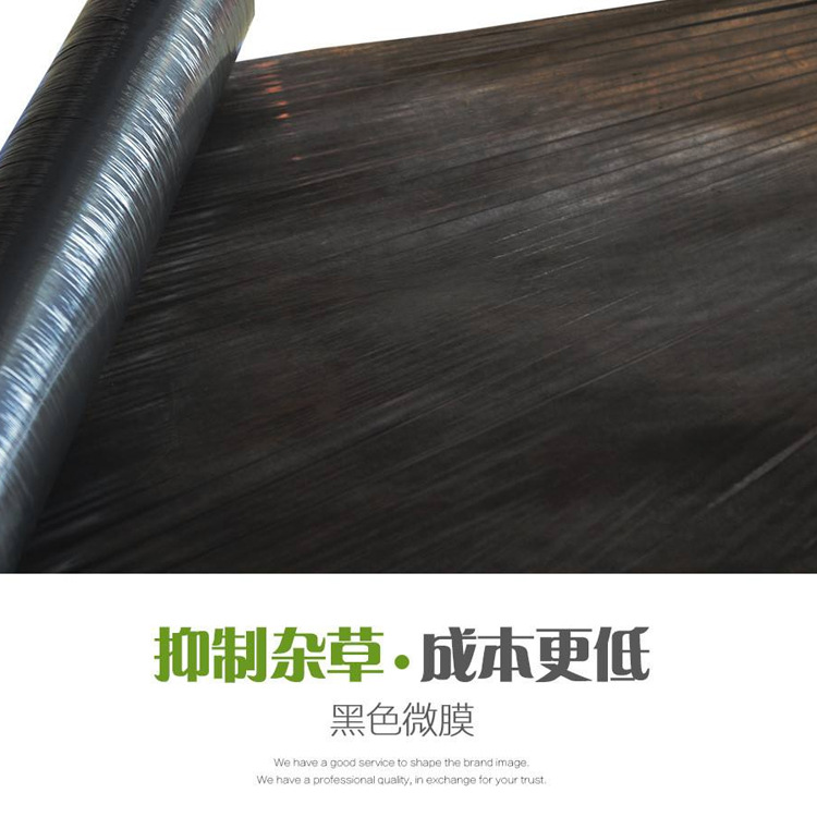 工程黑地膜 工程黑地膜