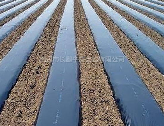 廊坊专业聚乙稀薄膜批发