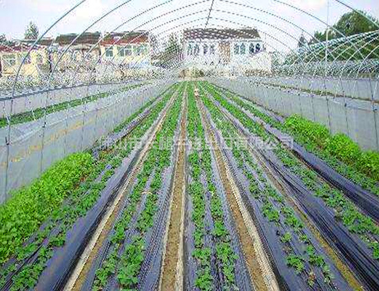 苏州定制塑料薄膜批发