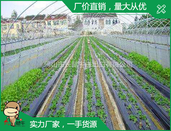 塑料薄膜规格 塑料薄膜规格